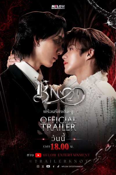 Póster de Knot