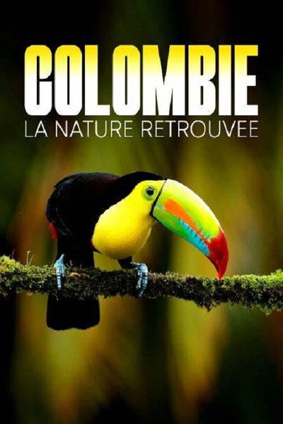 Póster de Kolumbien - Das entfesselte Paradies