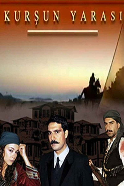 Póster de Kursun Yarasi
