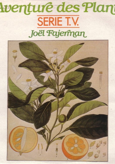 Póster de La aventura de las plantas