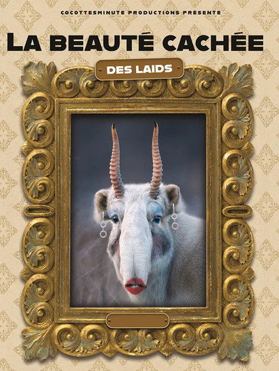 Póster de La beauté cachée des laids