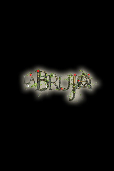Póster de La Bruja