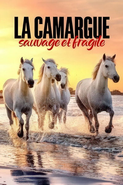 Póster de La Camargue, sauvage et fragile
