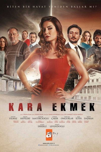 Póster de La Cenicienta de Estambul