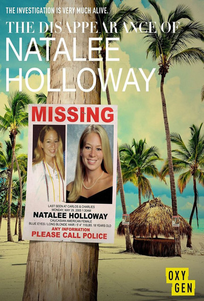 Póster de La desaparición de Natalee Holloway