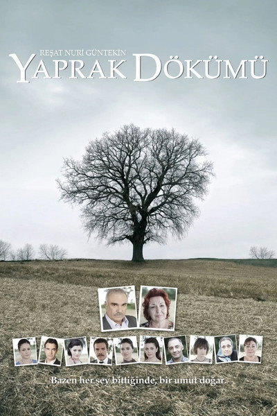 Póster de La familia