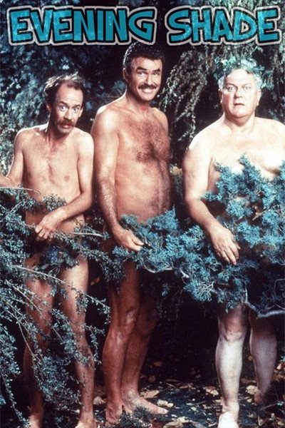 Póster de La familia Newton