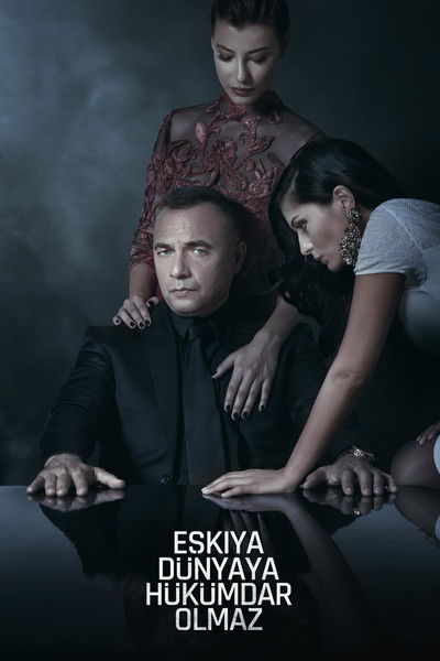 Póster de La gran familia