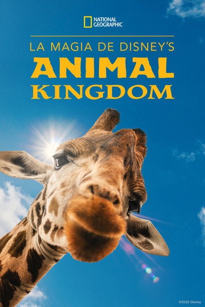 Póster de La magia de Animal Kingdom de Disney