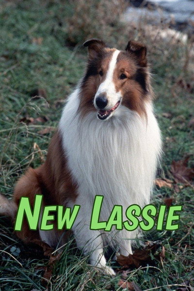 Póster de La nueva Lassie