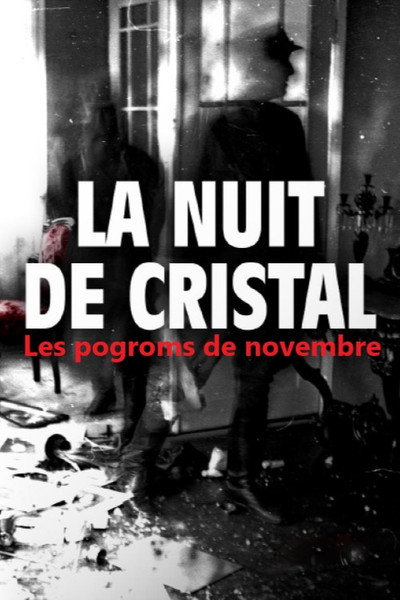 Póster de La nuit de cristal, les pogroms de novembre
