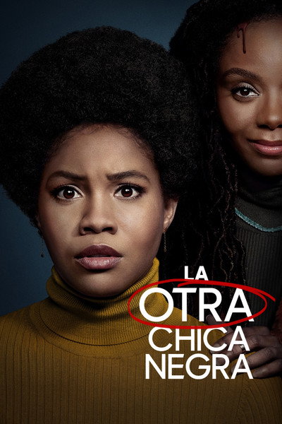 Póster de La otra chica negra