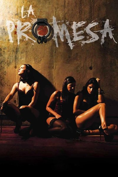 Póster de La Promesa