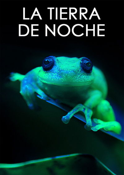 Póster de La Tierra de noche
