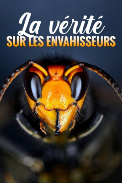 Póster de La vérité sur les envahisseurs