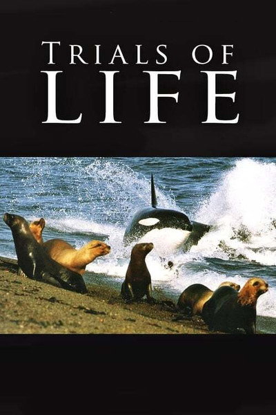 Póster de La vida a prueba