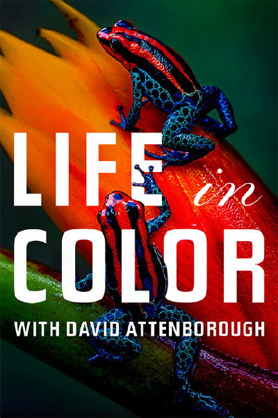 Póster de La vida a todo color, con David Attenborough