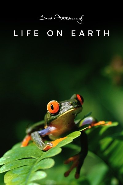 Póster de La vida en la Tierra