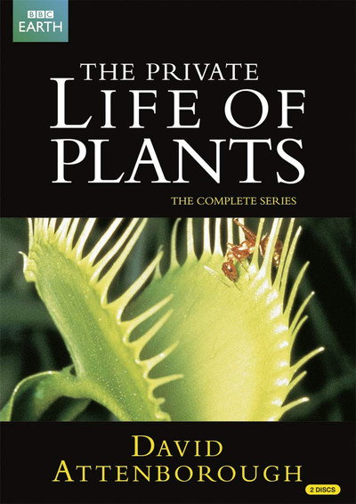 Póster de La vida privada de las plantas