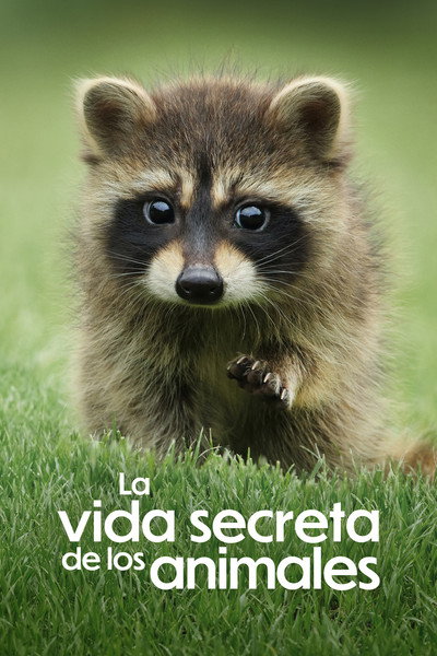 Póster de La vida secreta de los animales