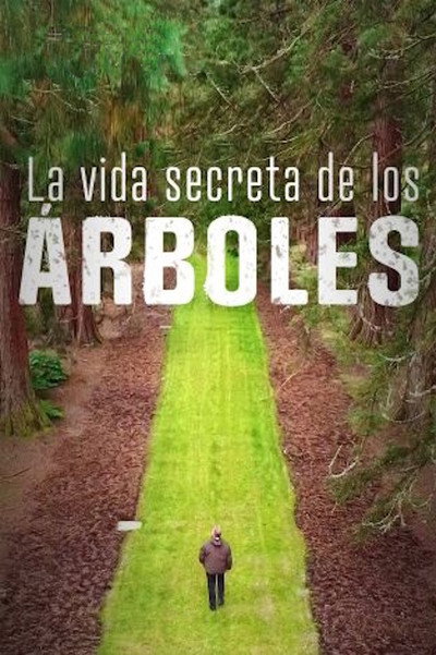 Póster de La vida secreta de los árboles
