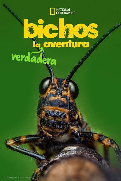 Póster de La vida secreta de los insectos