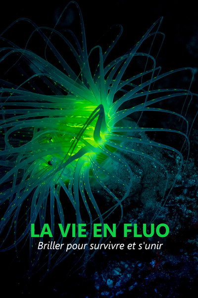 Póster de La vie en fluo