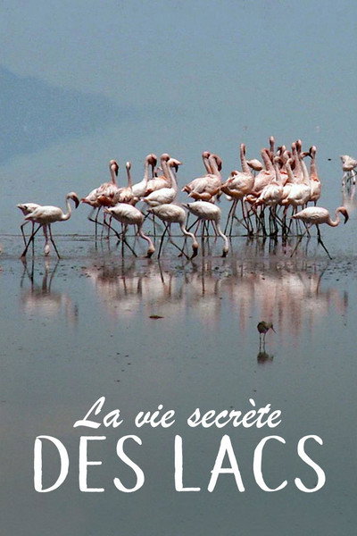 Póster de La vie secrète des lac