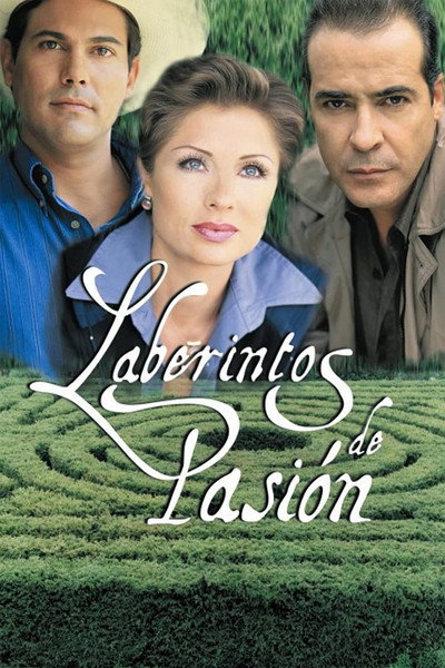 Póster de Labyrinths of Passion