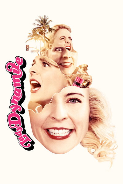 Póster de Lady Dynamite