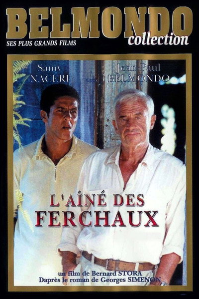 Póster de L'aîné des Ferchaux