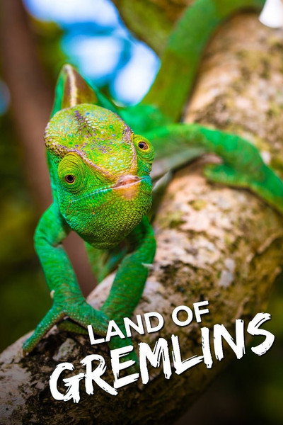 Póster de Land of Gremlins
