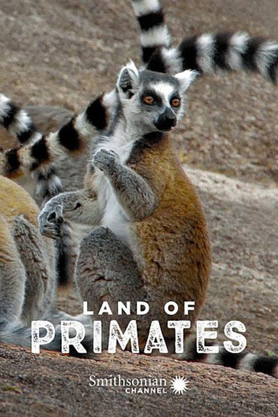 Póster de Land of Primates