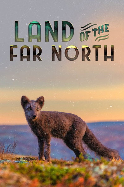 Póster de Land of the Far North