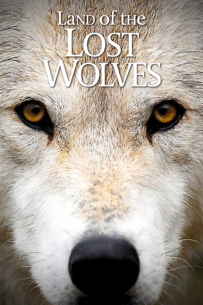Póster de Land of the Lost Wolves