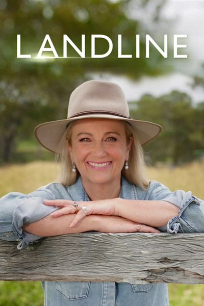 Póster de Landline