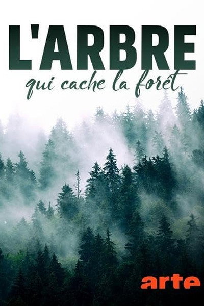 Póster de L'arbre qui cache la forêt
