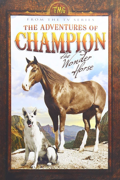 Póster de Las aventuras de Campeón