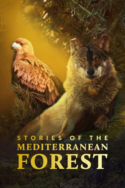 Póster de Las historias del bosque mediterráneo