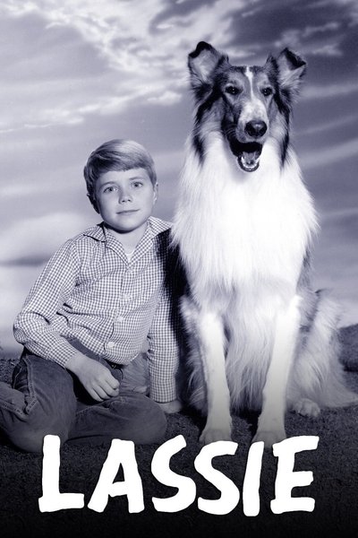 Póster de Lassie