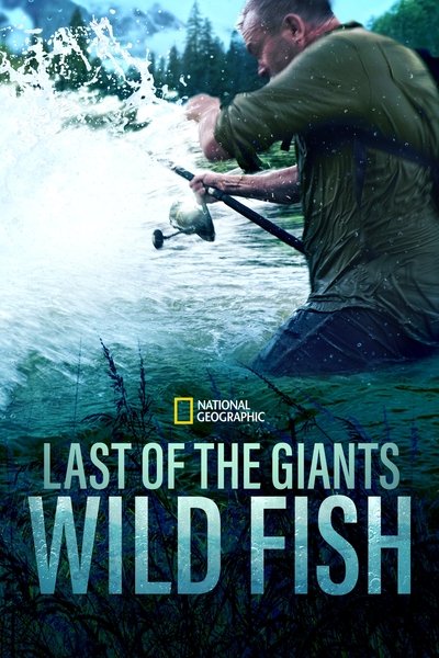 Póster de Last of the Giants