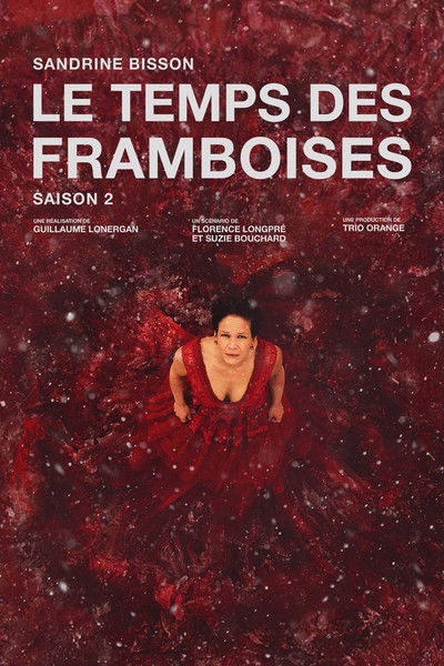 Póster de Last Summers of the Raspberries
