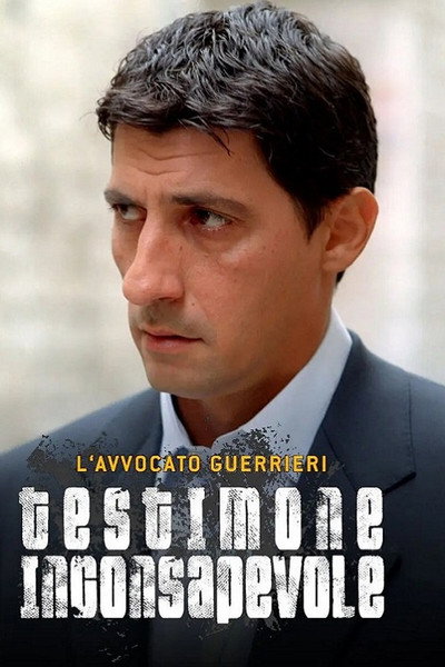 Póster de L'avvocato Guerrieri