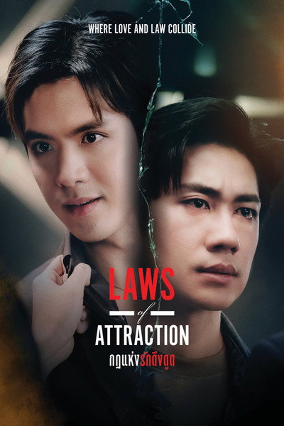 Póster de Laws of Attraction