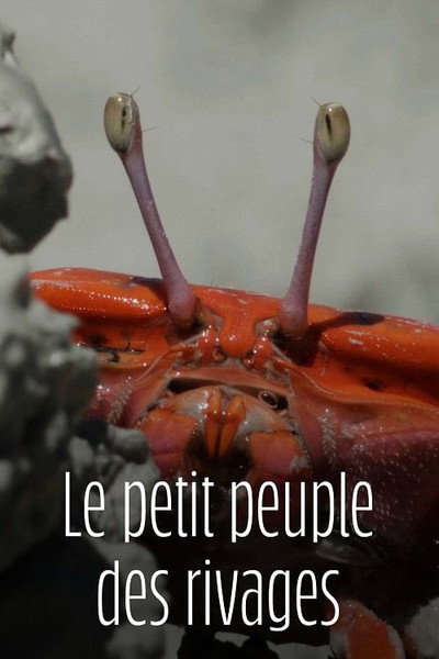 Póster de Le Petit Peuple des rivages