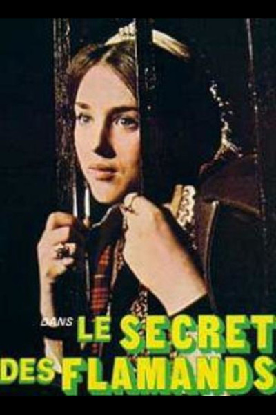 Póster de Le secret des Flamands