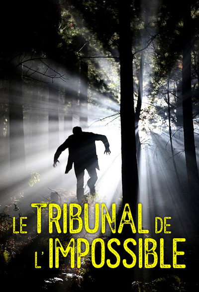 Póster de Le tribunal de l'impossible