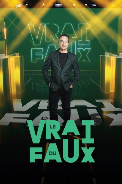 Póster de Le vrai du faux