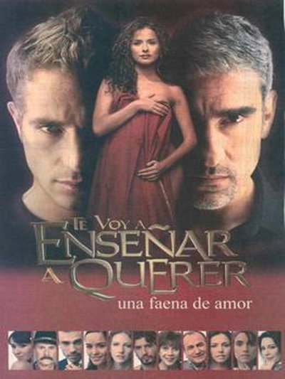 Póster de Learning to Love