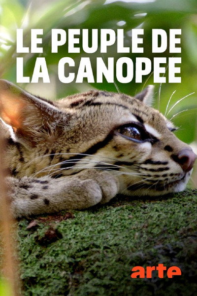 Póster de Leben im Kronendach